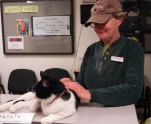 Offering Reiki to Guy at Buddy Dog.