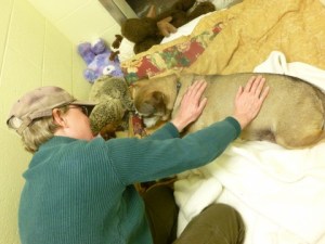 Offering Reiki to Tatiana at Buddy Dog